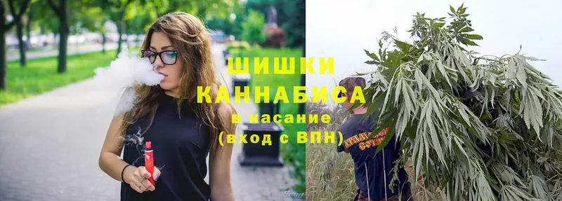 Канабис SATIVA & INDICA  Павловский Посад 